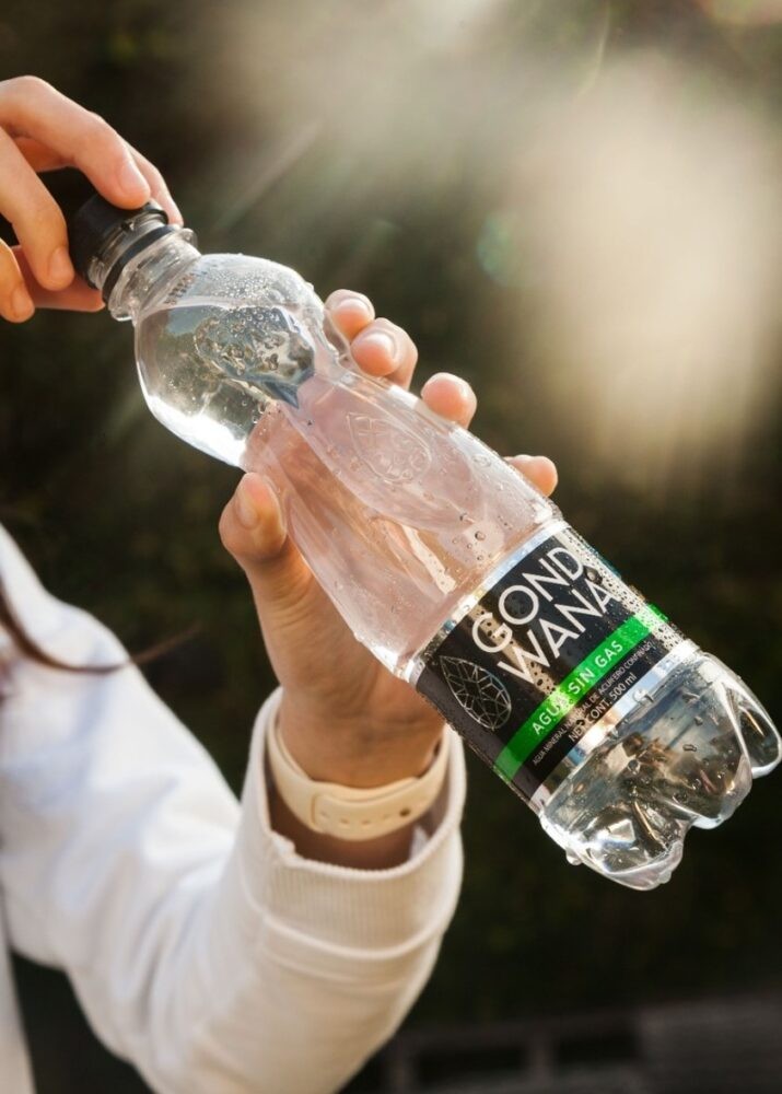 Botella PET Agua Gond Wana 500 ml sin Gas