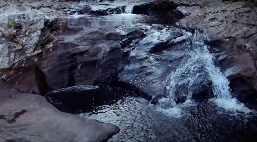 La esencia pura de Paraguay: Agua mineral como regalo de la naturaleza
